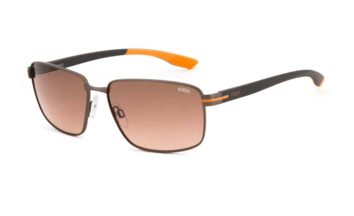 IDEE S3166 C2