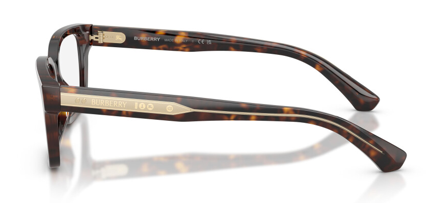 BURBERRY B 2453 4205
