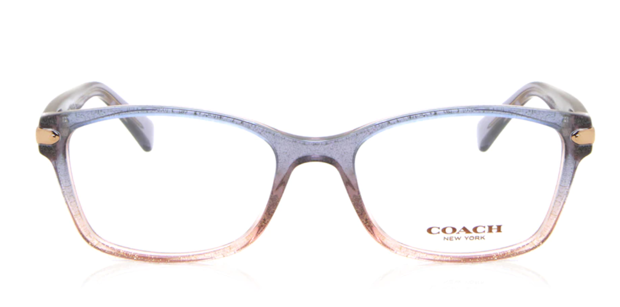 COACH HC6065 5554