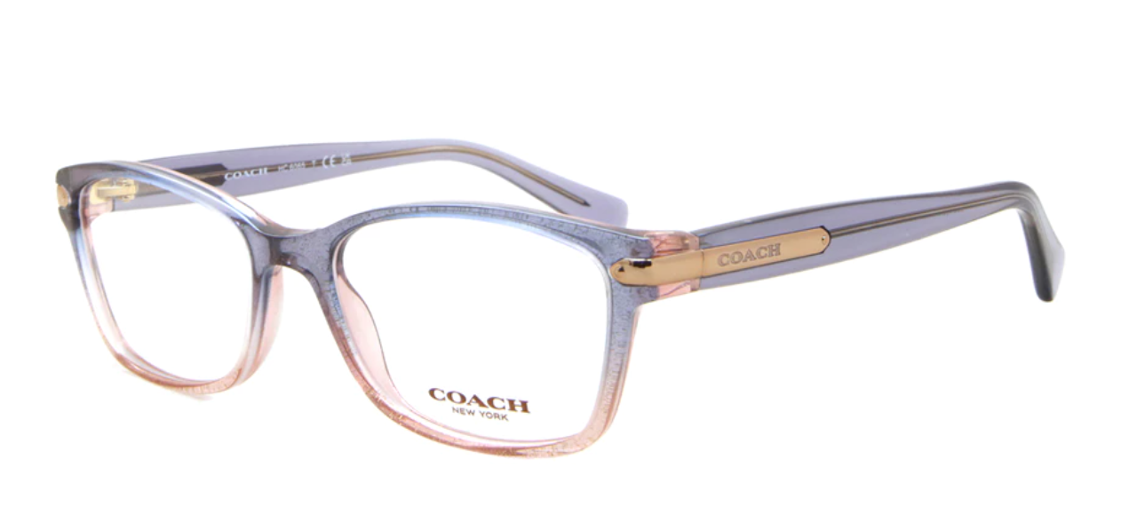 COACH HC6065 5554