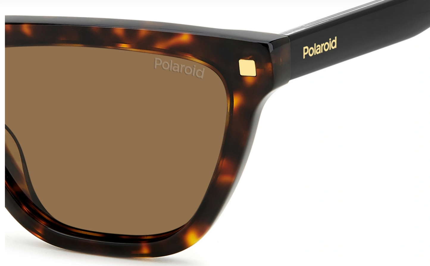 Polaroid 4157 806SP
