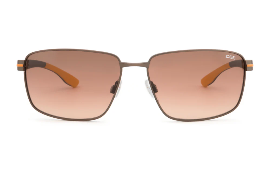 IDEE S3166 C2