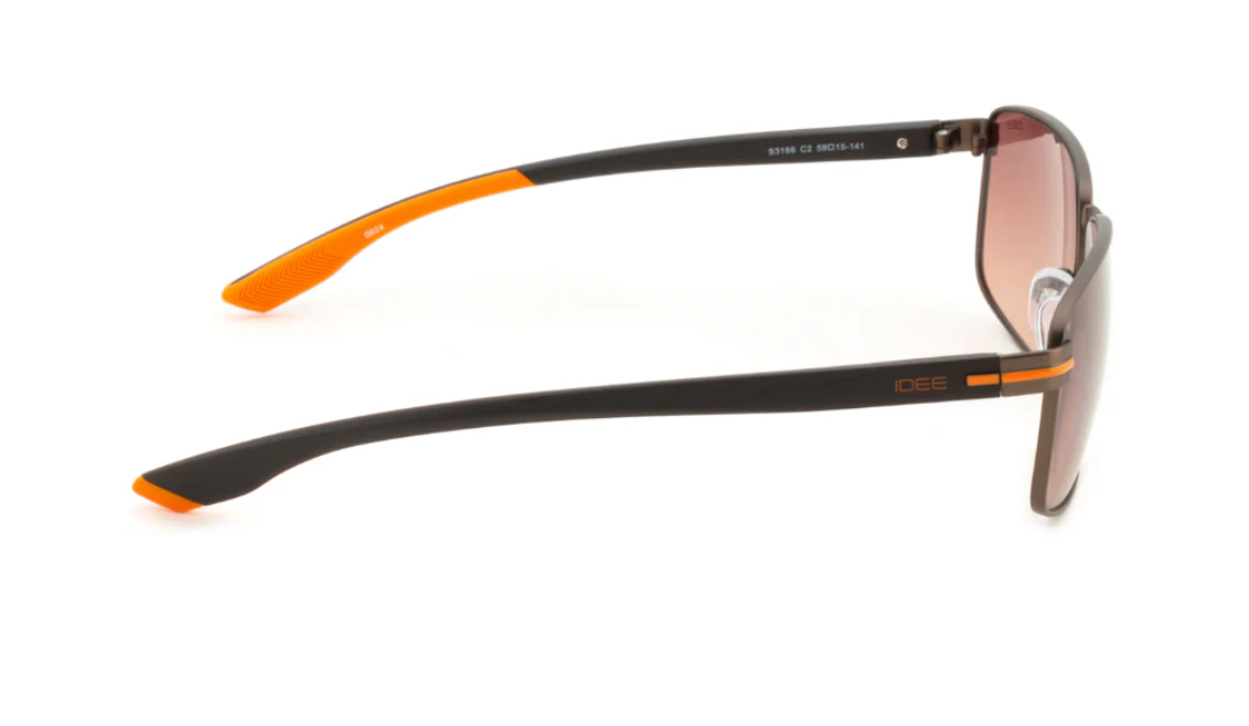 IDEE S3166 C2