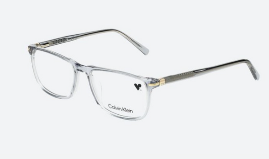 CALVIN KLEIN CK5979IN 070