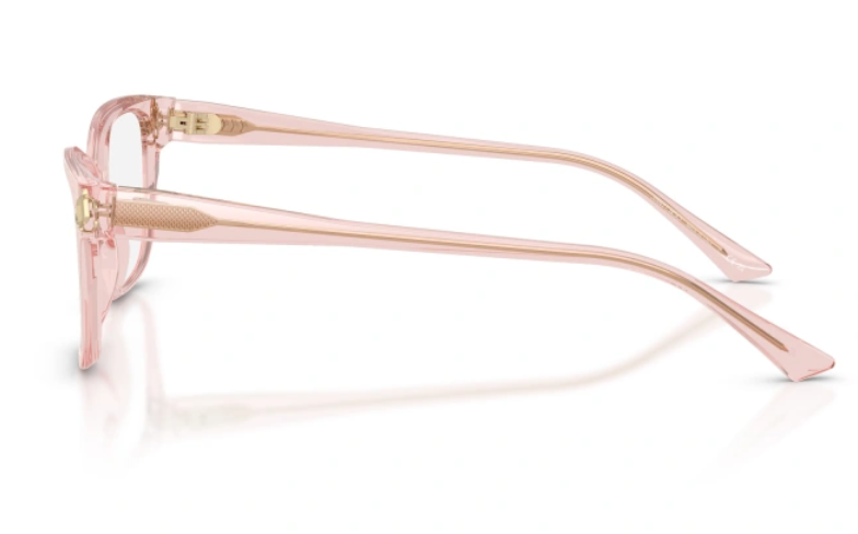 JIMMY CHOO JC 3012 5034