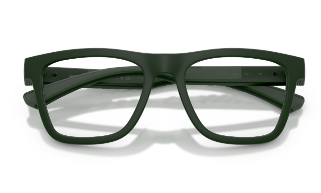 BURBERRY B 2452-U 4232