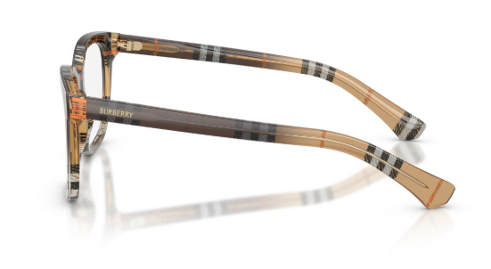 BURBERRY B 2455 4202