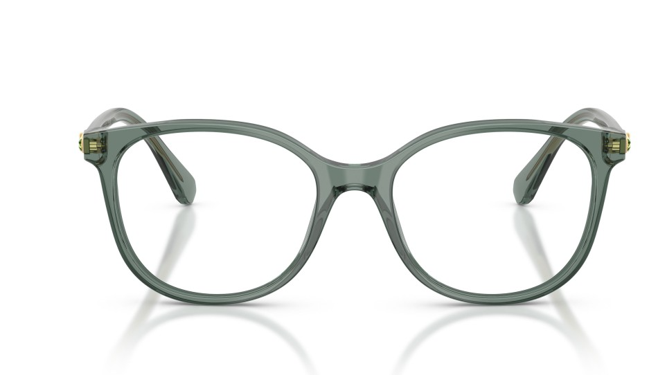 SWAROVSKI SK 2002 1043