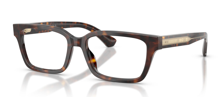 BURBERRY B 2453 4205