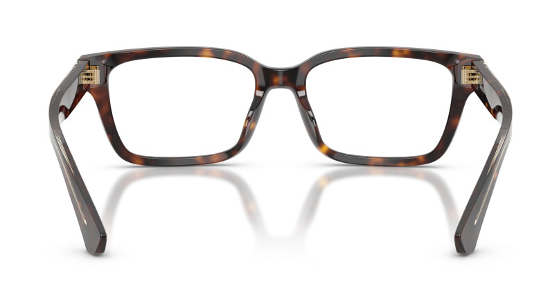 BURBERRY B 2453 4205