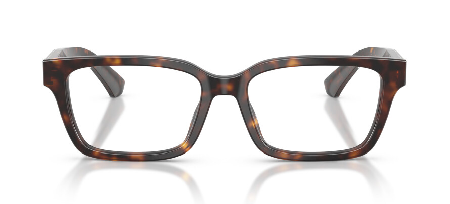 BURBERRY B 2453 4205