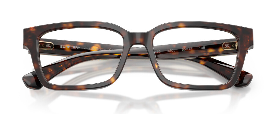 BURBERRY B 2453 4205