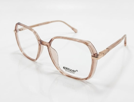 ENTICER CH 6902 C3