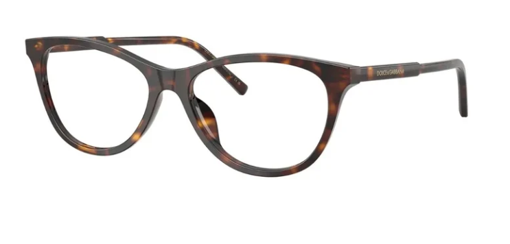DOLCE & GABBANA DG3443 502