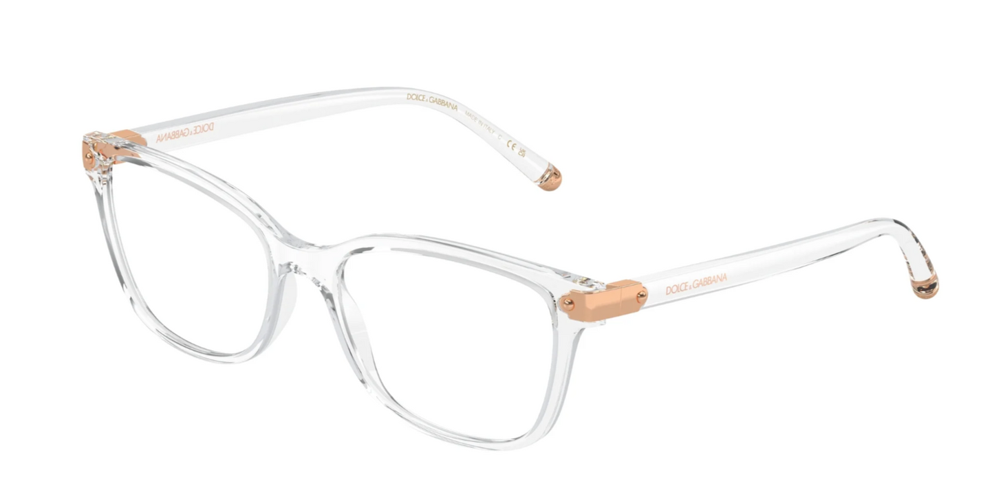 DOLCE & GABBANA DG5036 3133
