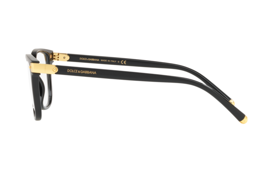 DOLCE & GABBANA DG5036 501