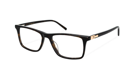 TOMMY HILFIGER TH4425 C2-HAVANA/GOLD