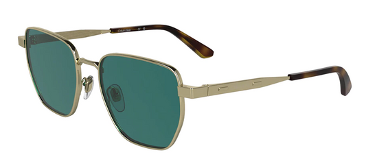 Calvin Klein 25100S  716