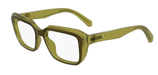CALVIN KLEIN 24627 309